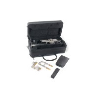 Roy Benson C-Trompete TR-402CS