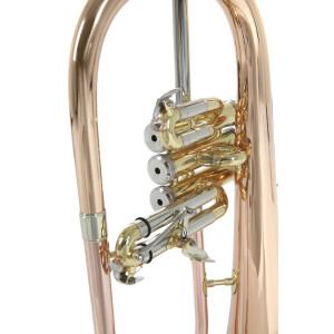 Pure Gewa Bb flugelhorn Roy Benson FH-302G