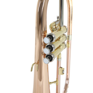 Pure Gewa Bb flugelhorn Roy Benson FH-302G