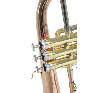 Pure Gewa Bb flugelhorn Roy Benson FH-302G