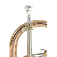 Pure Gewa Bb flugelhorn Roy Benson FH-302G