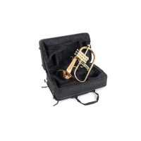 Pure Gewa Bb flugelhorn Roy Benson FH-302G