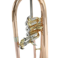 Pure Gewa Bb flugelhorn Roy Benson FH-302G