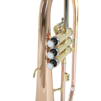 Pure Gewa Bb flugelhorn Roy Benson FH-302G