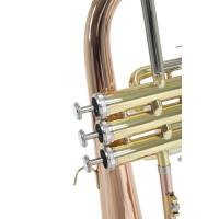 Pure Gewa Bb flugelhorn Roy Benson FH-302G