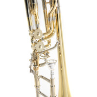 Roy Benson Bb/F/Gb/D-Bass Posaune BT-260