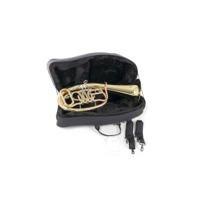 Roy Benson Bb-Tenorhorn TH-201