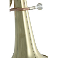 Roy Benson Bb-Tenorhorn TH-201