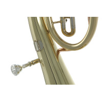Roy Benson Bb-Tenorhorn TH-201