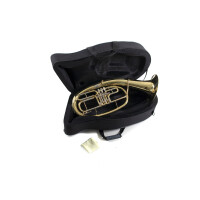 Roy Benson Bb-Tenorhorn TH-202