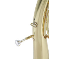 Roy Benson Bb-Tenorhorn TH-202