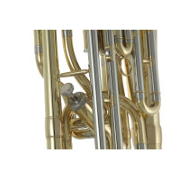 Roy Benson Bb-Bariton BH-302