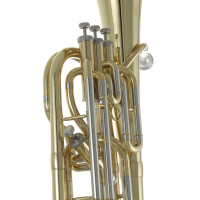 Roy Benson Bb-Bariton BH-302