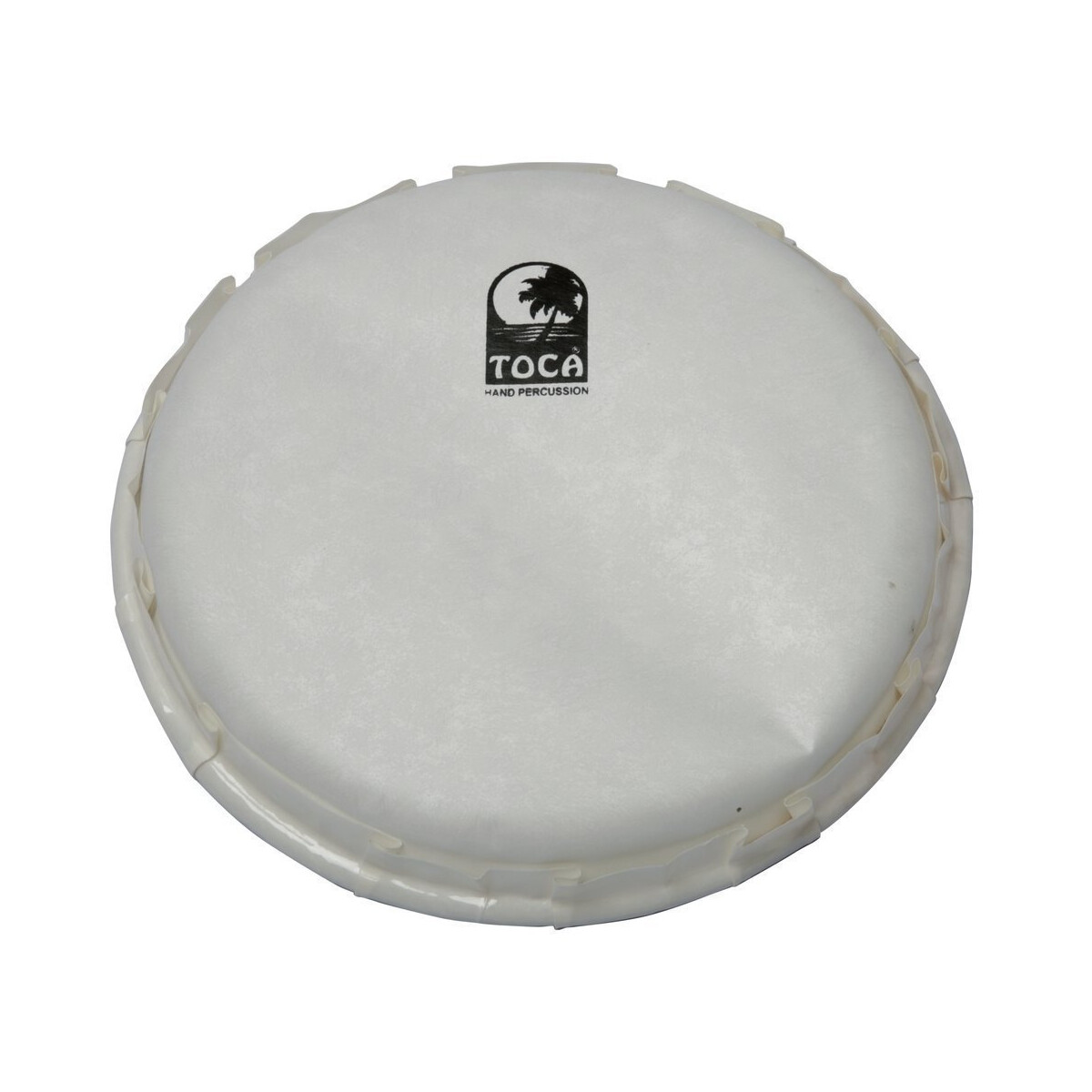 Toca 10" Freestyle 2 Rope