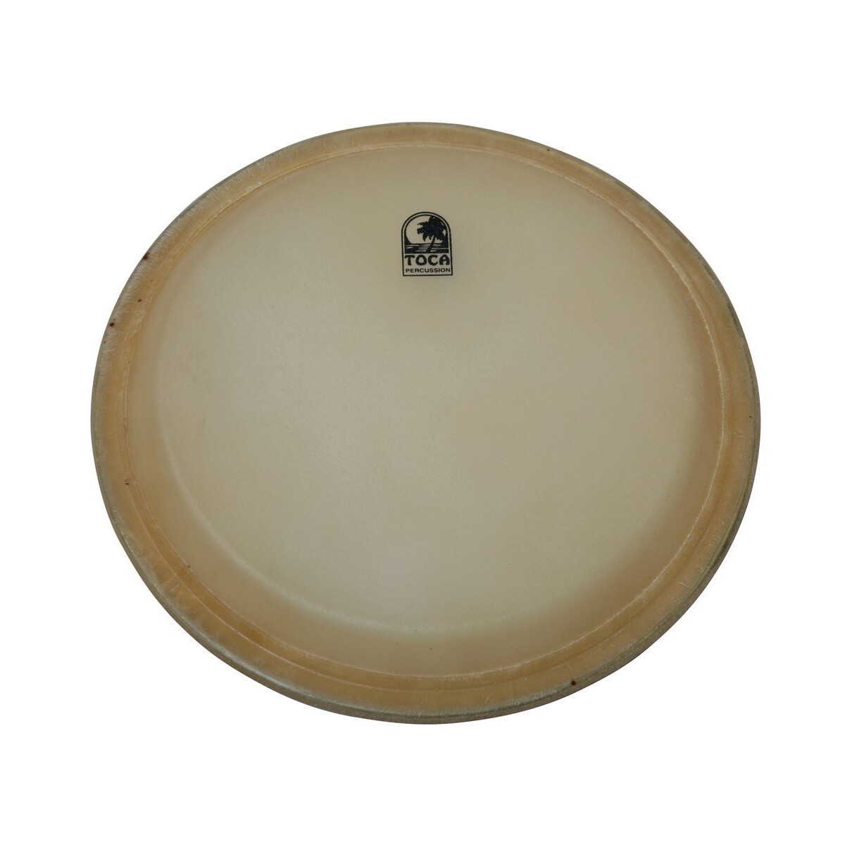 Toca 11" Elite Pro HD