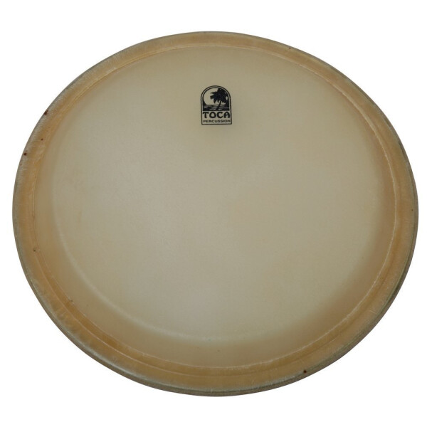 Toca 11" Elite Pro HD