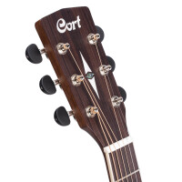 Cort Earth 100 NS