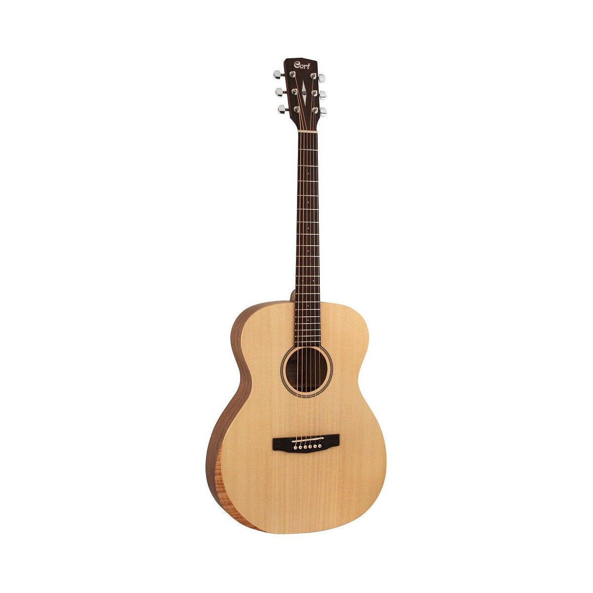 Cort Luce Bevel Cut box