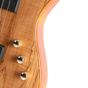 Cort Rithimic Jeff Berlin N2