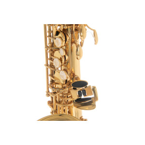 Pure Gewa Eb-Alt Saxophone Roy Benson AS-202