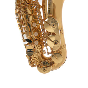 Pure Gewa Eb-Alt Saxophone Roy Benson AS-202