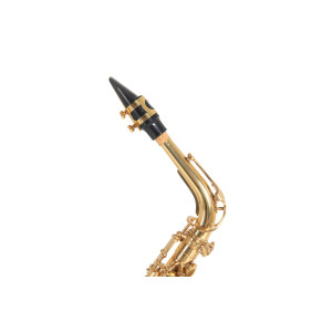 Pure Gewa Eb-Alt Saxophone Roy Benson AS-202