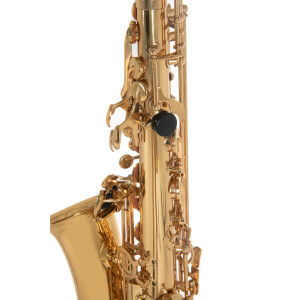 Pure Gewa Eb-Alt Saxophone Roy Benson AS-202