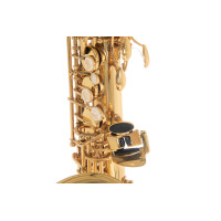 Pure Gewa Eb-Alt Saxophone Roy Benson AS-202