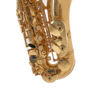 Pure Gewa Eb-Alt Saxophone Roy Benson AS-202