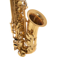 Pure Gewa Eb-Alt Saxophone Roy Benson AS-202