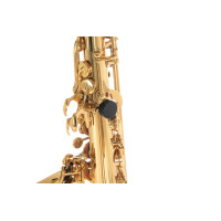Pure Gewa Eb-Alt Saxophone Roy Benson AS-202