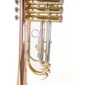 Roy Benson Bb-Trompete TR-202G