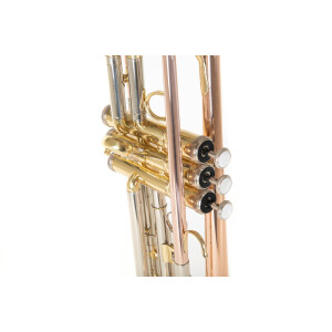 Roy Benson Bb-Trompete TR-202G