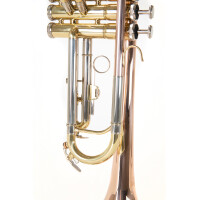Roy Benson Bb-Trompete TR-202G
