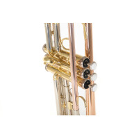Roy Benson Bb-Trompete TR-202G