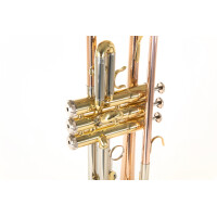 Roy Benson Bb-Trompete TR-202G