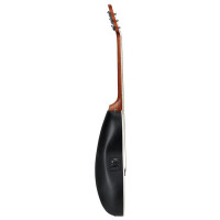 Applause E-Akustikgitarre AB24IIP Mid Cu gallery