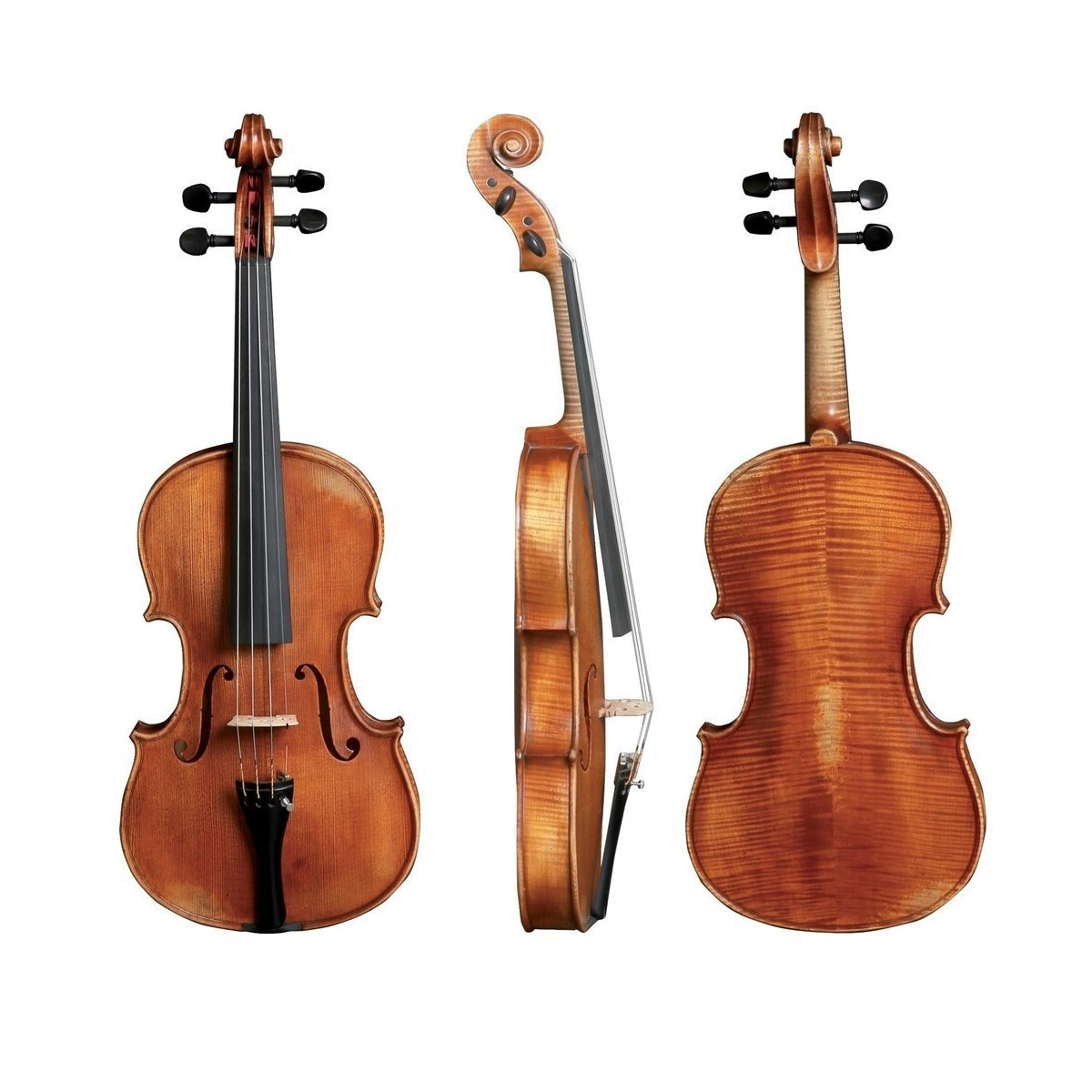 Gewa Konzertviola Germania 11 Modell Rom box