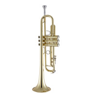 Vincent Bach Bb-Trompete Stradivarius LR180-37