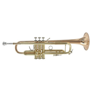 Vincent Bach Bb-Trompete Stradivarius LR180-43G