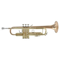 Vincent Bach Bb-Trompete Stradivarius LR180LG
