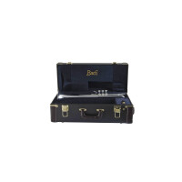 Vincent Bach Bb trumpet Stradivarius LT180S77