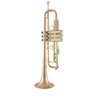 Vincent Bach Bb trumpet Stradivarius LR190-43B