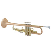 Vincent Bach Bb trumpet Stradivarius LR190-43B