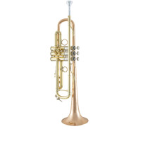 Vincent Bach Bb trumpet Stradivarius LR190-43B