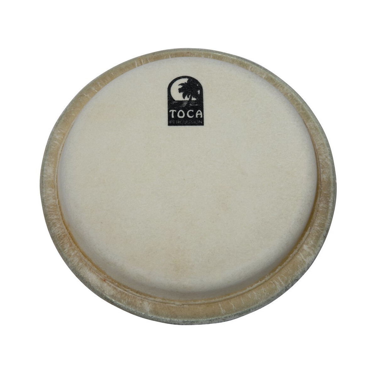 Toca 11" Players-Series box