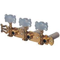 Gewa mechanics F&S classical guitar