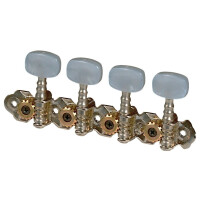 Gewa mechanics F&S mandolin nickel-plated