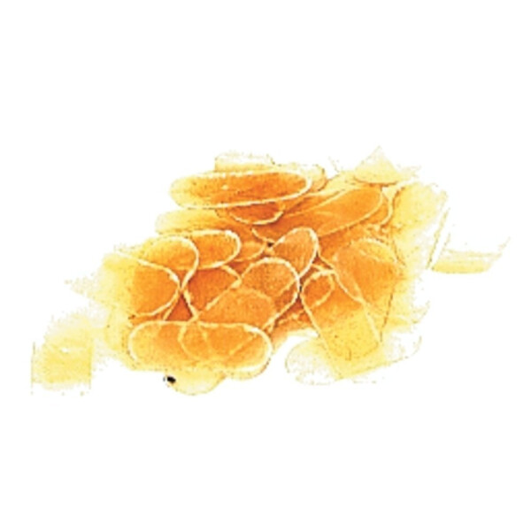 Gewa Violinstegschutz