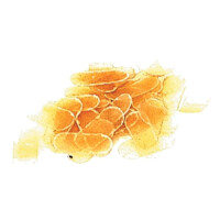 Gewa Violinstegschutz